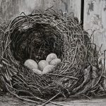 Just one season - Teodora Pecenica - Detailed